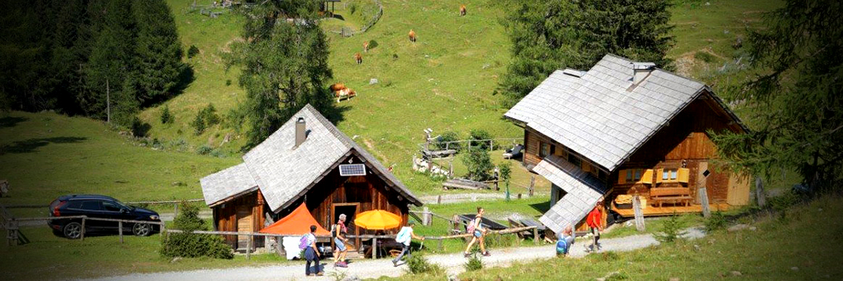 Dolinza Alm (c) dolinza.at Dolinza Alm (c) dolinza.at