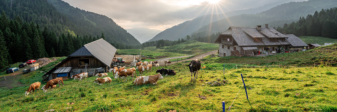 &copy; NLW Tourismus